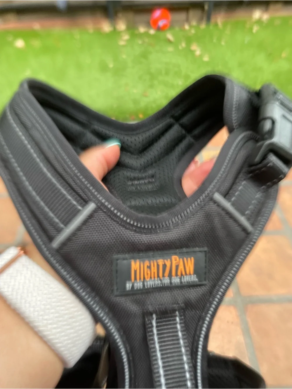 Black Padded Dog Harness